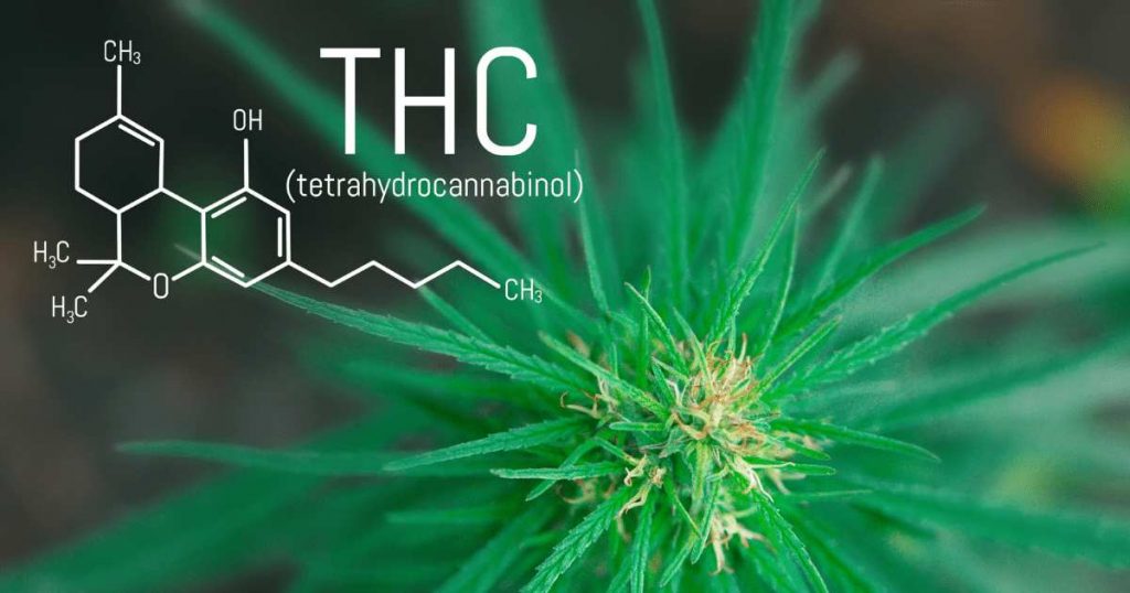 Obtenha tratamento com thc, cbd, laudo para exame toxicológico de thc